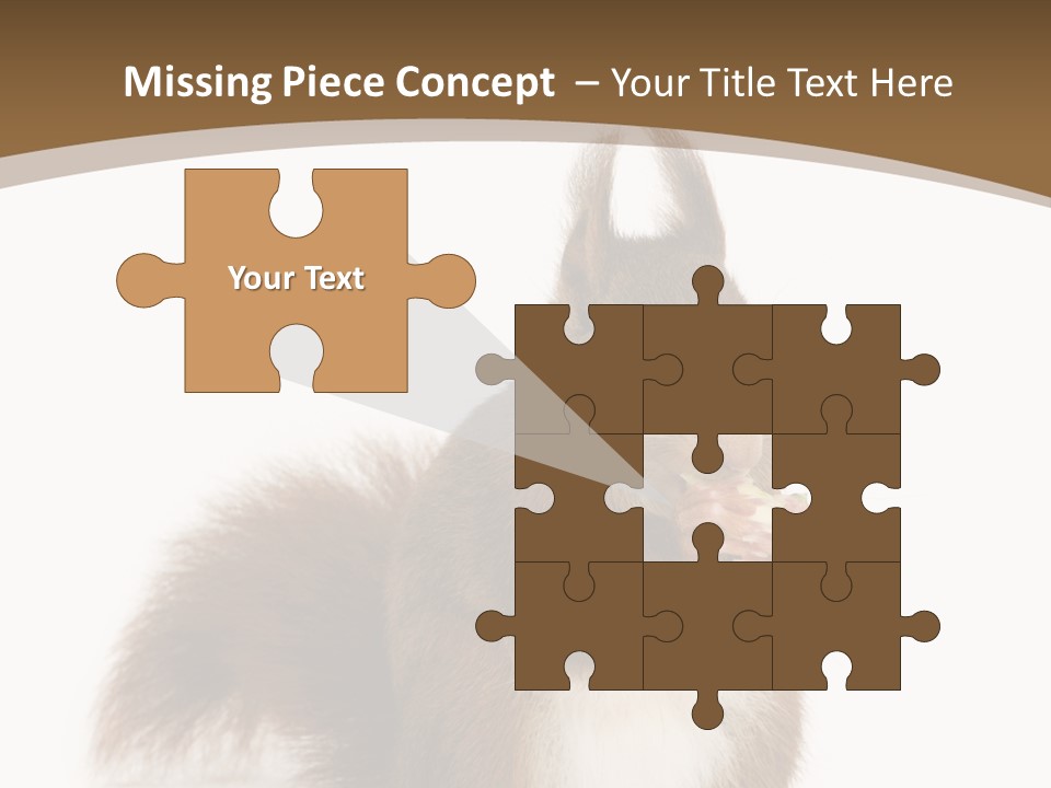 Isolated Brown Eurasian Red Squirrel PowerPoint Template