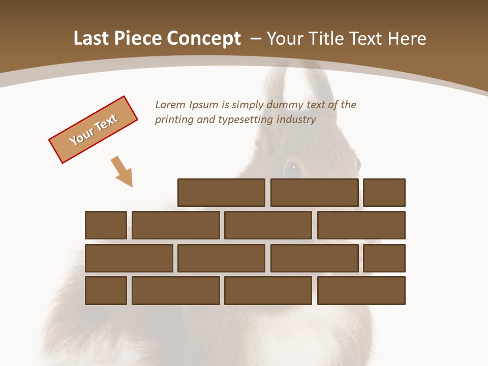 Isolated Brown Eurasian Red Squirrel PowerPoint Template