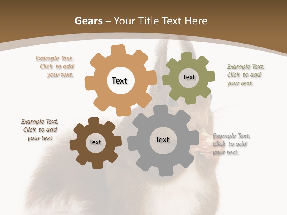 Isolated Brown Eurasian Red Squirrel PowerPoint Template