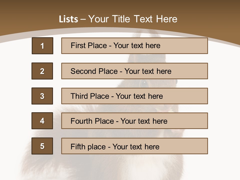 Isolated Brown Eurasian Red Squirrel PowerPoint Template