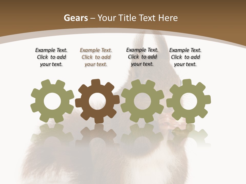 Isolated Brown Eurasian Red Squirrel PowerPoint Template