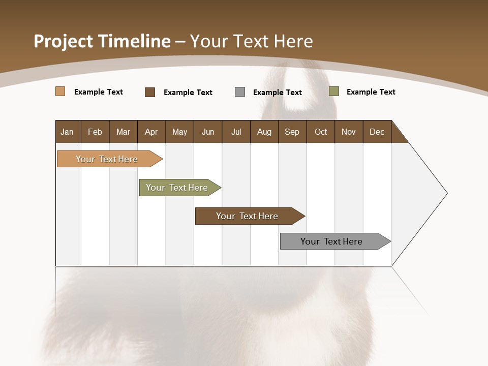Isolated Brown Eurasian Red Squirrel PowerPoint Template