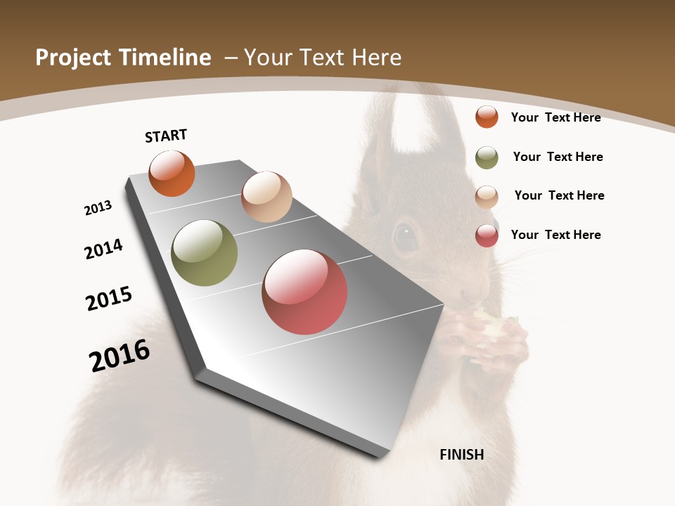 Isolated Brown Eurasian Red Squirrel PowerPoint Template