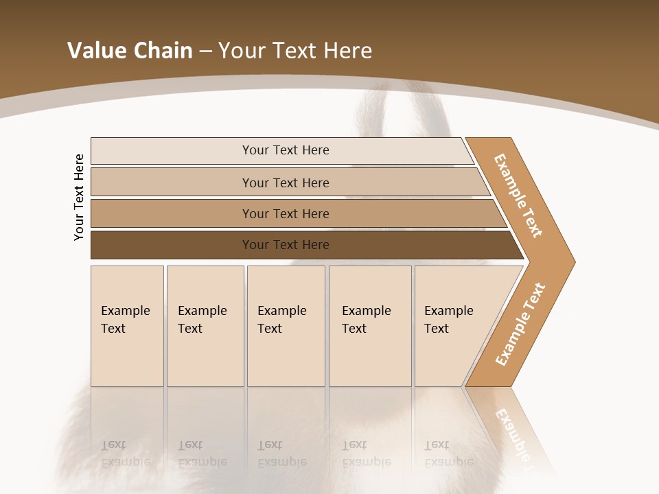 Isolated Brown Eurasian Red Squirrel PowerPoint Template