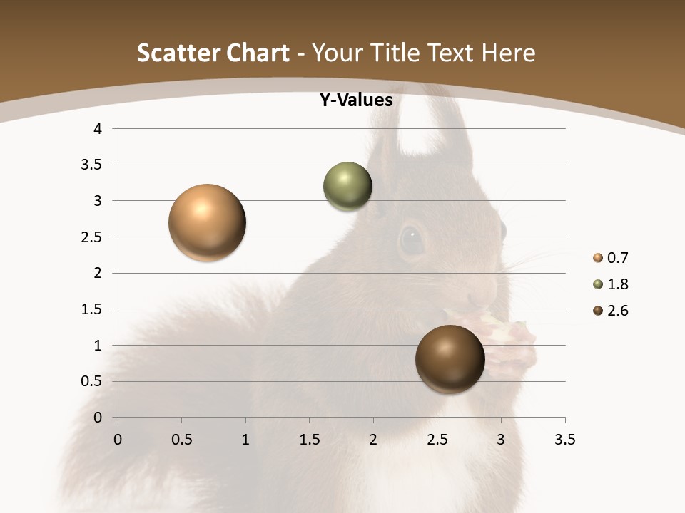 Isolated Brown Eurasian Red Squirrel PowerPoint Template