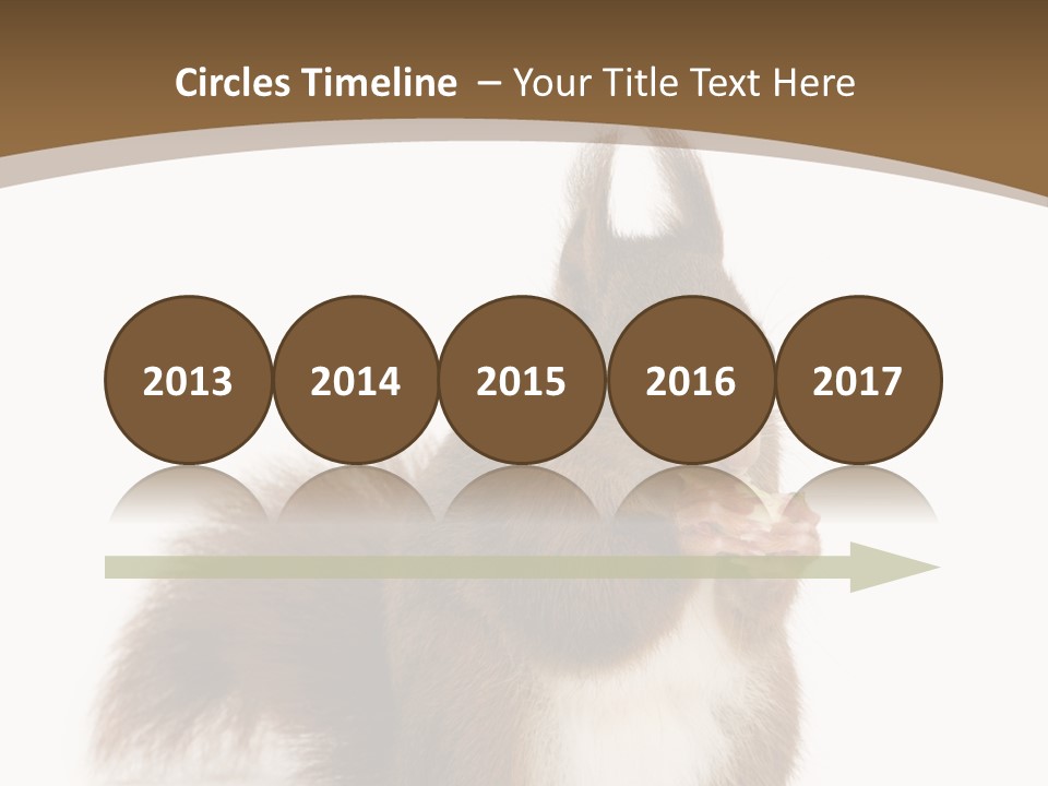 Isolated Brown Eurasian Red Squirrel PowerPoint Template