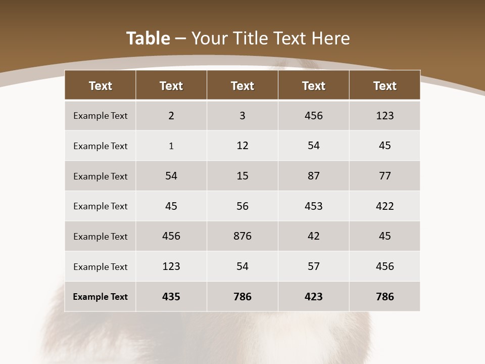 Isolated Brown Eurasian Red Squirrel PowerPoint Template