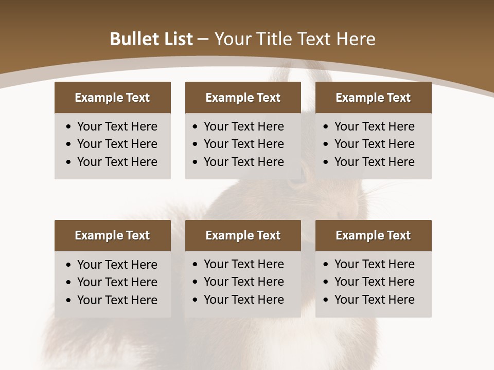 Isolated Brown Eurasian Red Squirrel PowerPoint Template