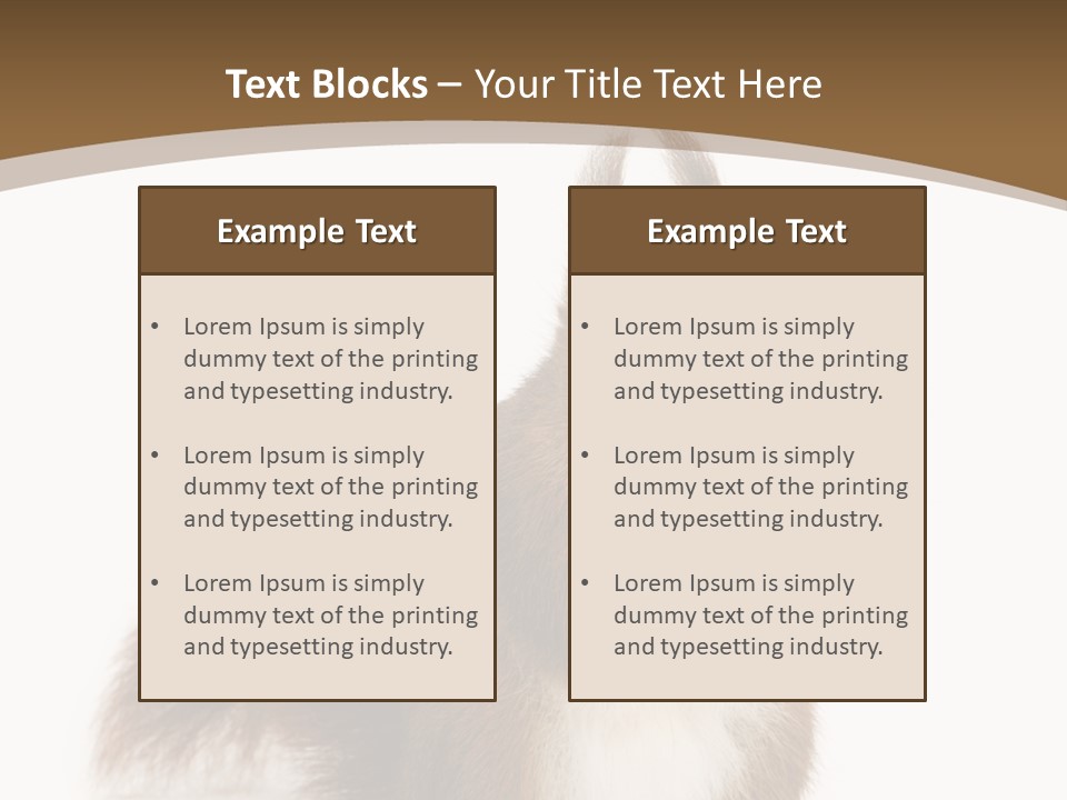Isolated Brown Eurasian Red Squirrel PowerPoint Template