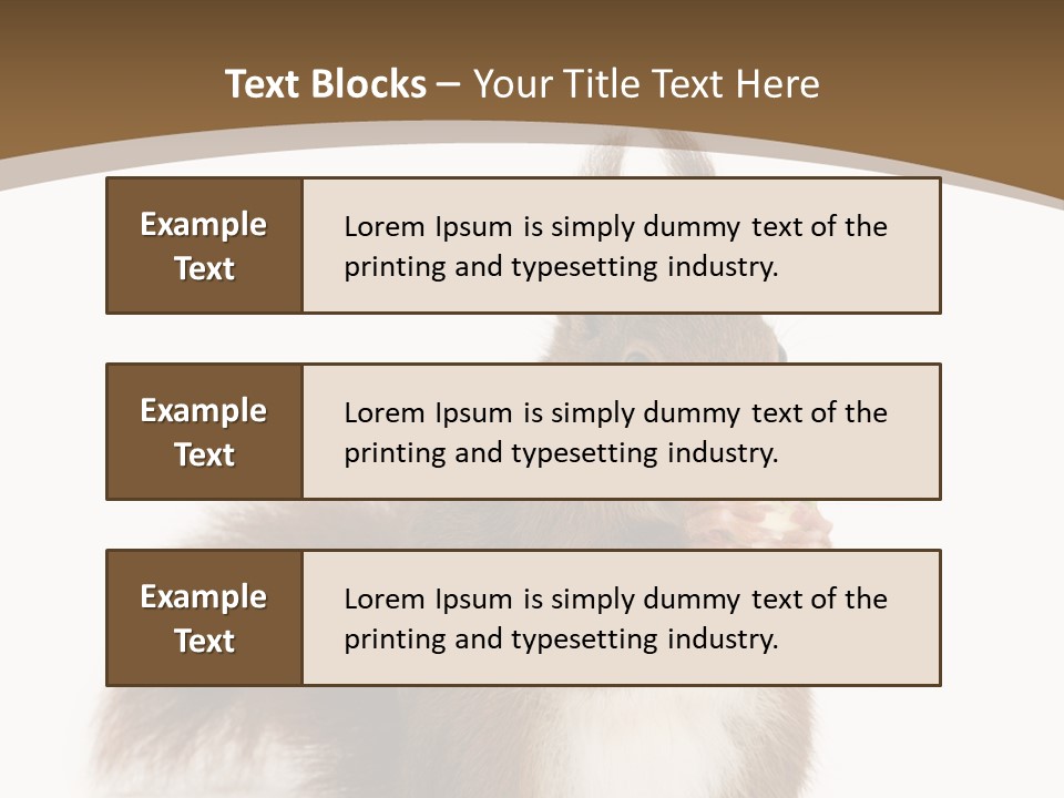 Isolated Brown Eurasian Red Squirrel PowerPoint Template