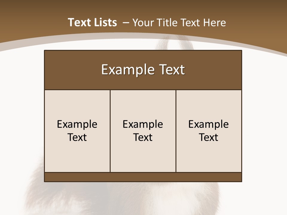 Isolated Brown Eurasian Red Squirrel PowerPoint Template