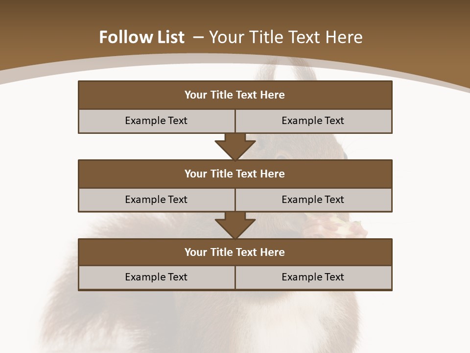 Isolated Brown Eurasian Red Squirrel PowerPoint Template