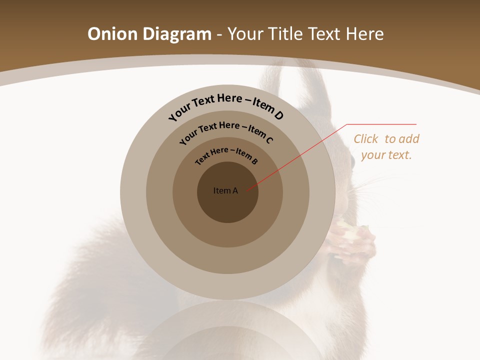 Isolated Brown Eurasian Red Squirrel PowerPoint Template