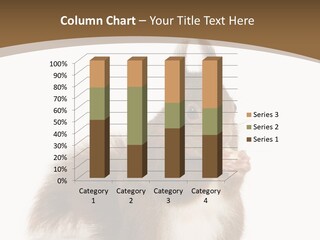 Isolated Brown Eurasian Red Squirrel PowerPoint Template