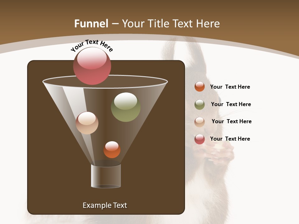 Isolated Brown Eurasian Red Squirrel PowerPoint Template