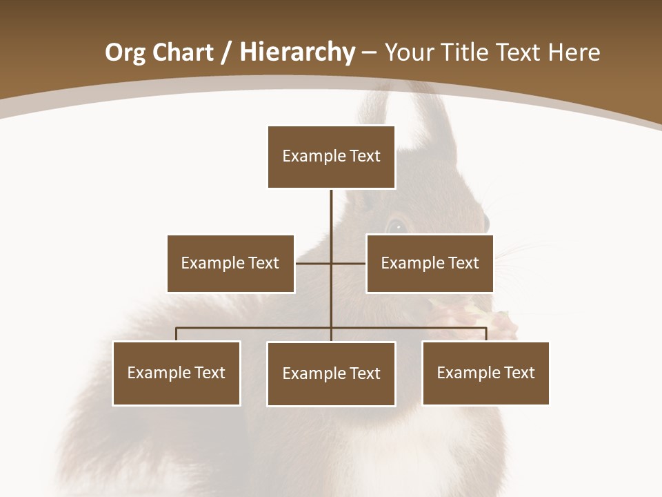 Isolated Brown Eurasian Red Squirrel PowerPoint Template