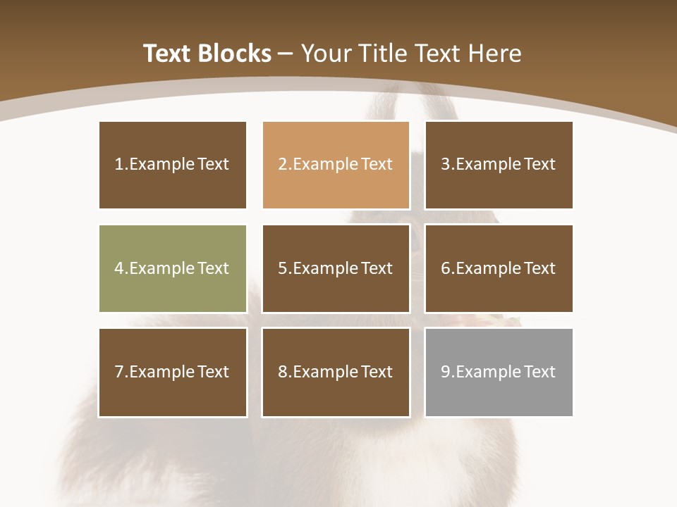 Isolated Brown Eurasian Red Squirrel PowerPoint Template