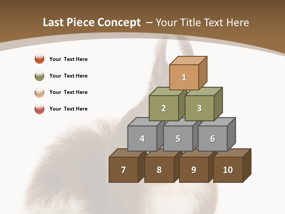 Isolated Brown Eurasian Red Squirrel PowerPoint Template