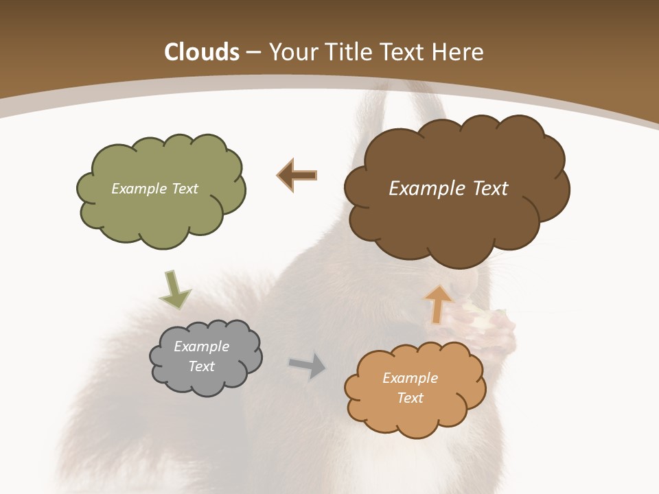 Isolated Brown Eurasian Red Squirrel PowerPoint Template