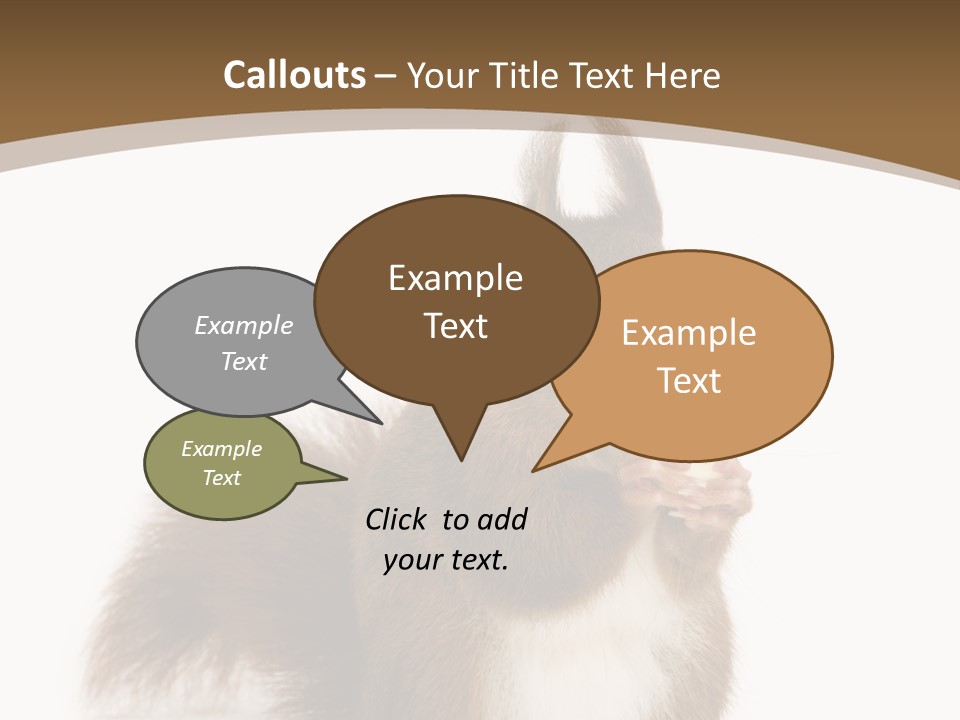 Isolated Brown Eurasian Red Squirrel PowerPoint Template