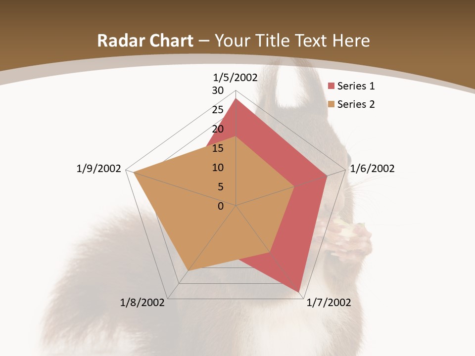 Isolated Brown Eurasian Red Squirrel PowerPoint Template