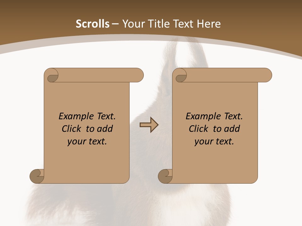Isolated Brown Eurasian Red Squirrel PowerPoint Template