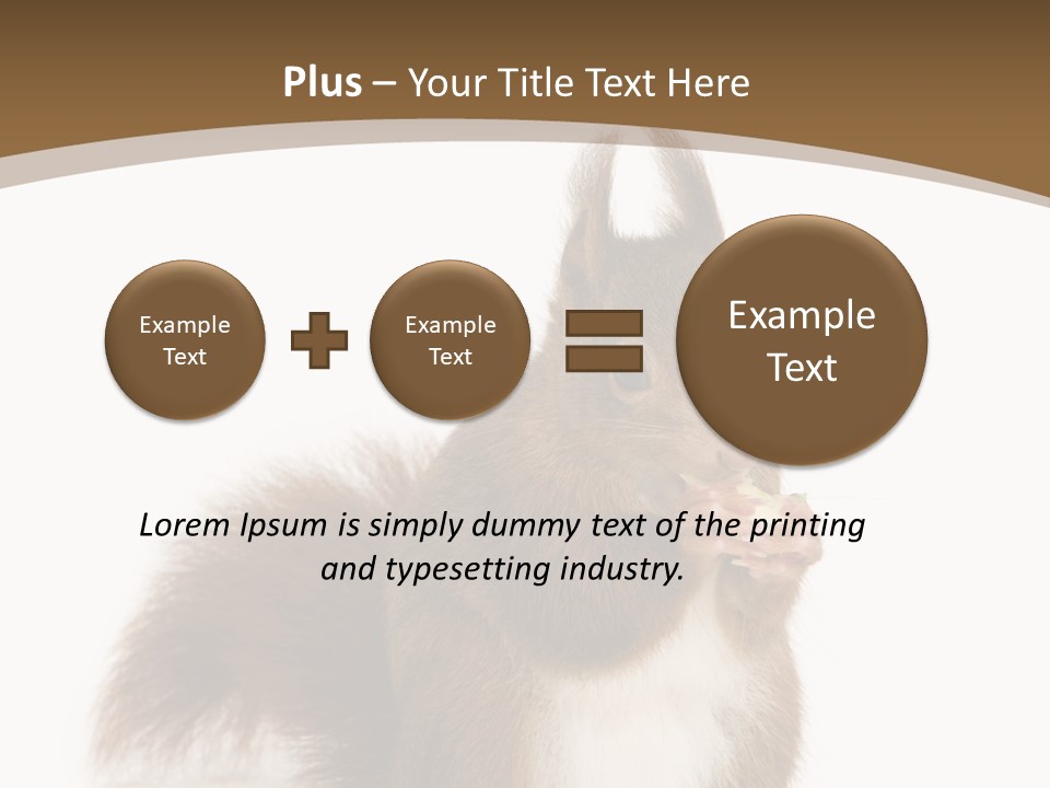 Isolated Brown Eurasian Red Squirrel PowerPoint Template