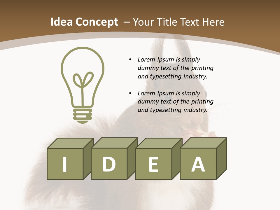 Isolated Brown Eurasian Red Squirrel PowerPoint Template