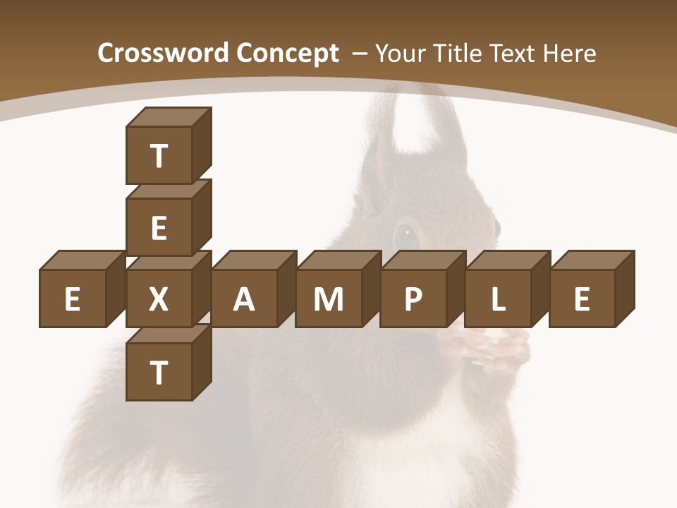 Isolated Brown Eurasian Red Squirrel PowerPoint Template