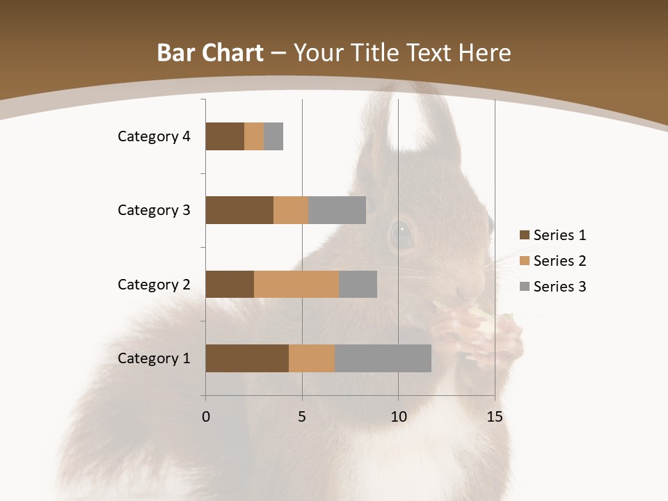 Isolated Brown Eurasian Red Squirrel PowerPoint Template