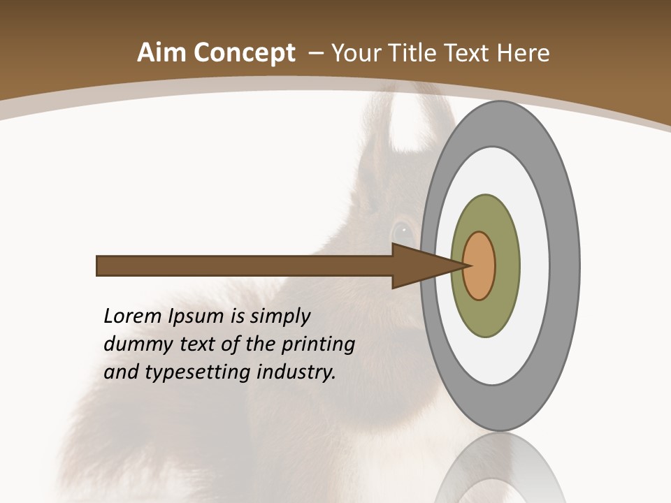 Isolated Brown Eurasian Red Squirrel PowerPoint Template