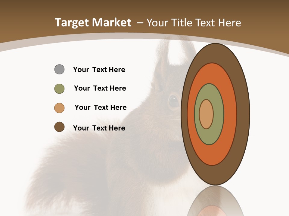 Isolated Brown Eurasian Red Squirrel PowerPoint Template