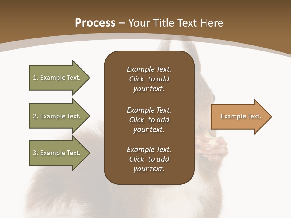 Isolated Brown Eurasian Red Squirrel PowerPoint Template