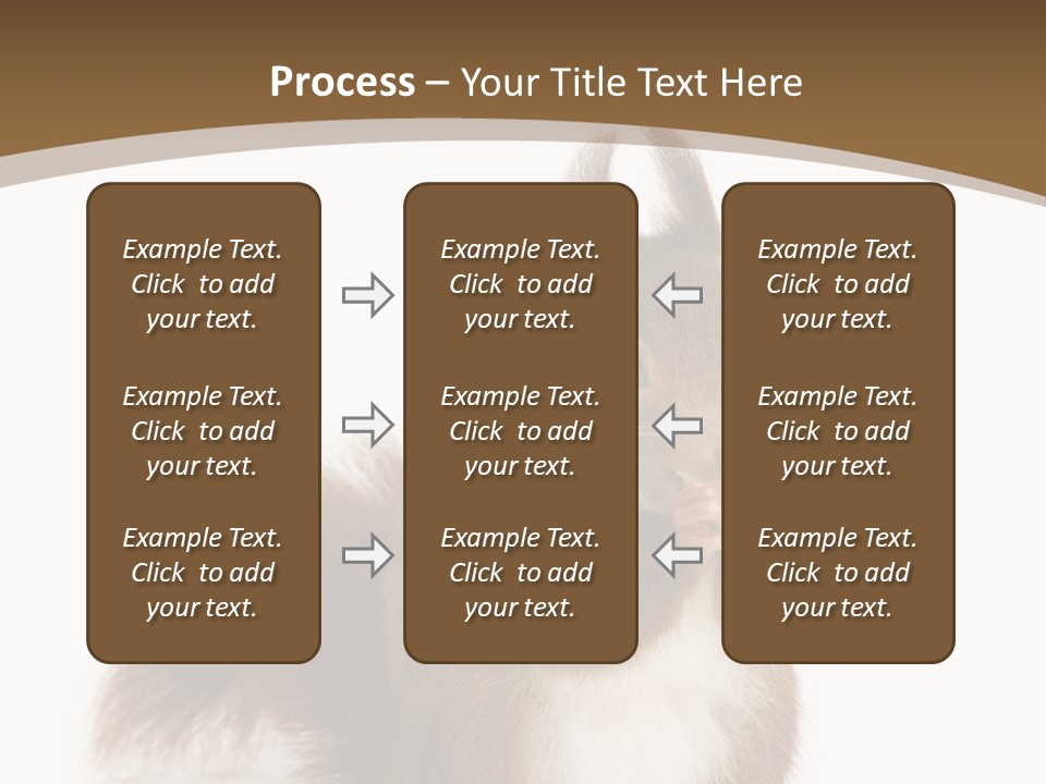 Isolated Brown Eurasian Red Squirrel PowerPoint Template