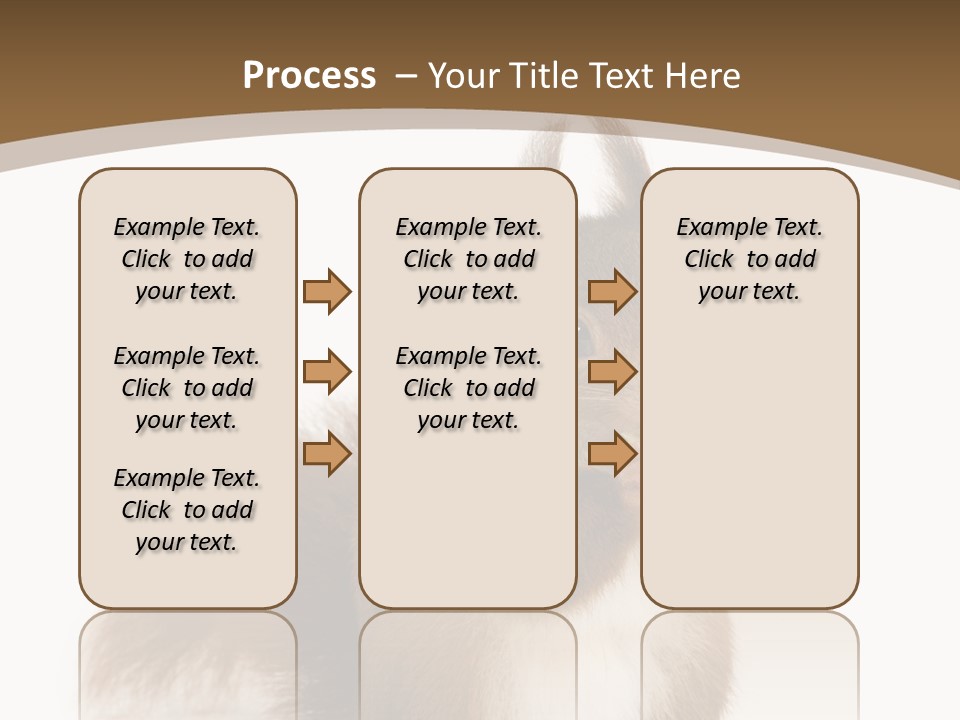 Isolated Brown Eurasian Red Squirrel PowerPoint Template