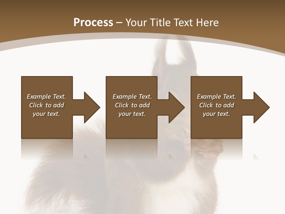 Isolated Brown Eurasian Red Squirrel PowerPoint Template