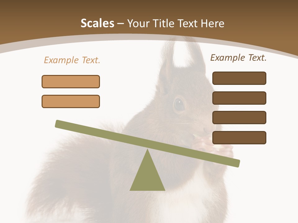 Isolated Brown Eurasian Red Squirrel PowerPoint Template