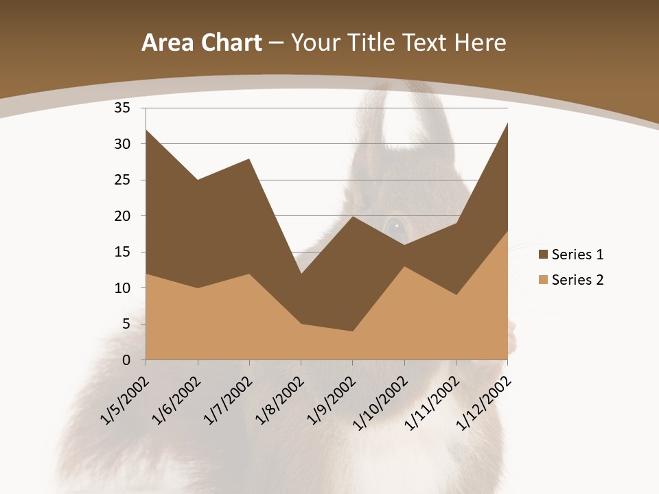 Isolated Brown Eurasian Red Squirrel PowerPoint Template