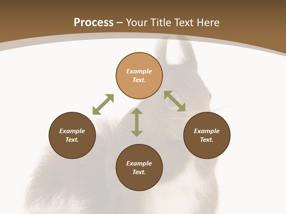 Isolated Brown Eurasian Red Squirrel PowerPoint Template