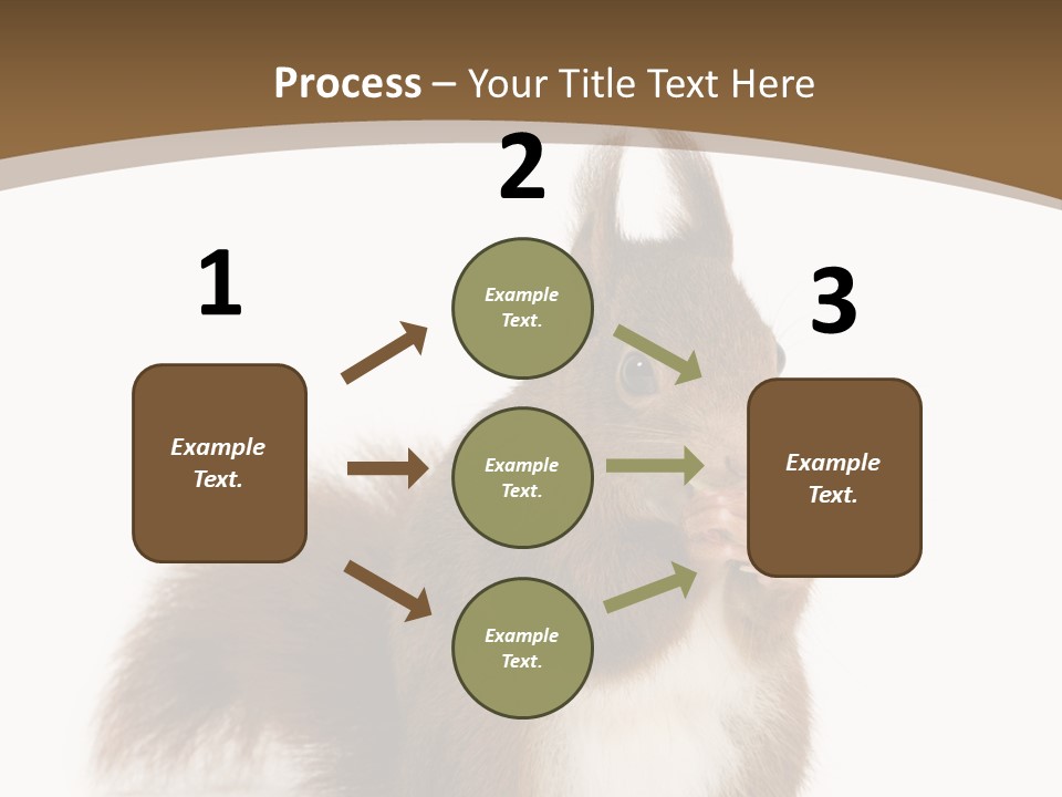Isolated Brown Eurasian Red Squirrel PowerPoint Template