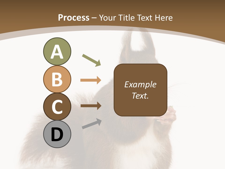 Isolated Brown Eurasian Red Squirrel PowerPoint Template