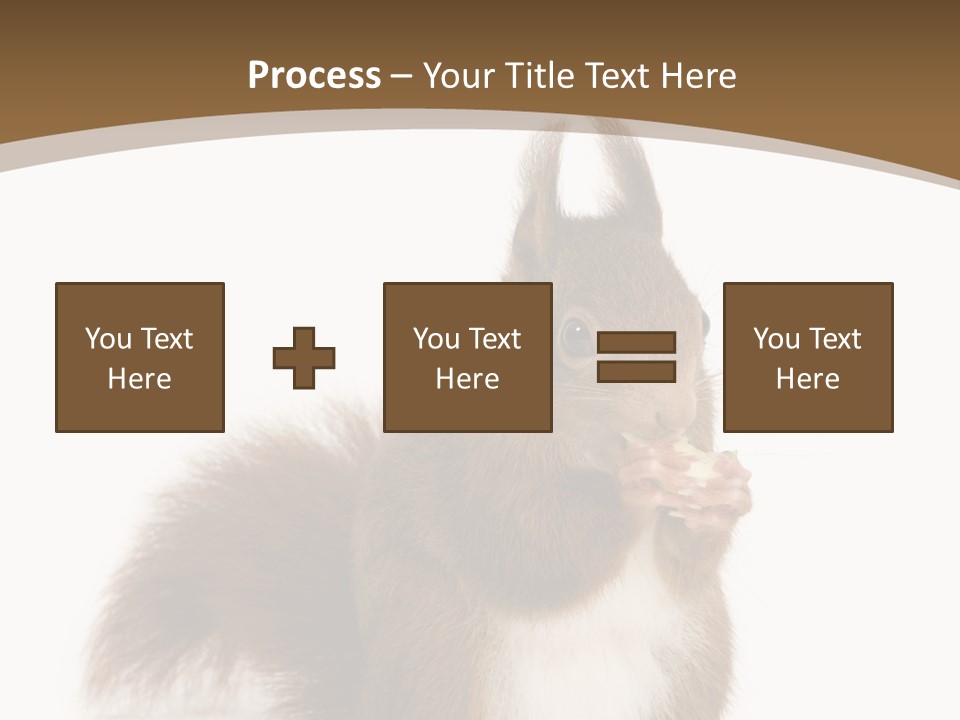 Isolated Brown Eurasian Red Squirrel PowerPoint Template