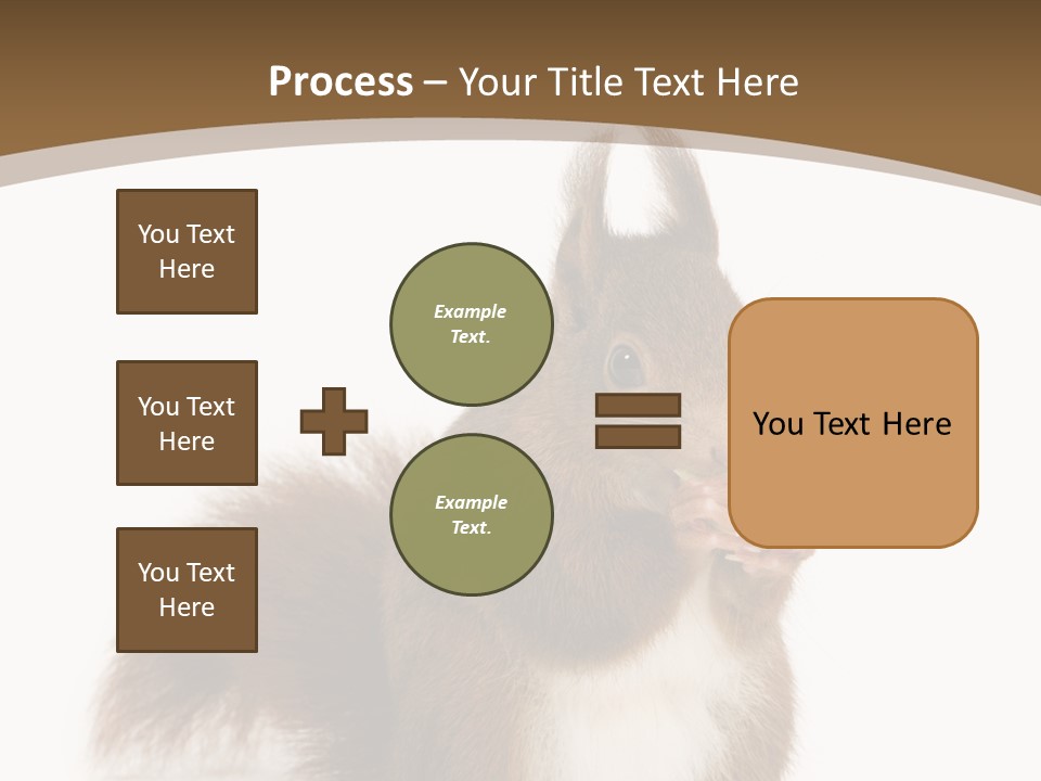 Isolated Brown Eurasian Red Squirrel PowerPoint Template
