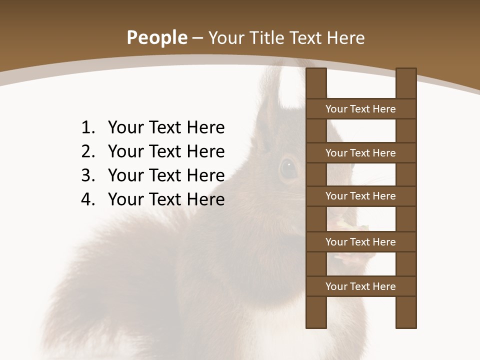 Isolated Brown Eurasian Red Squirrel PowerPoint Template