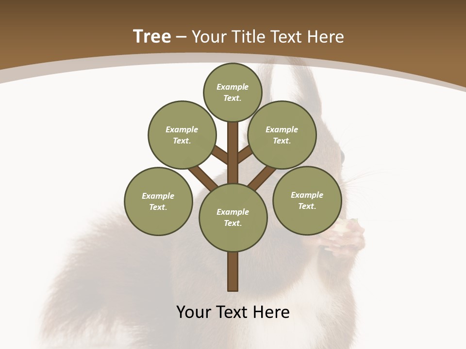 Isolated Brown Eurasian Red Squirrel PowerPoint Template