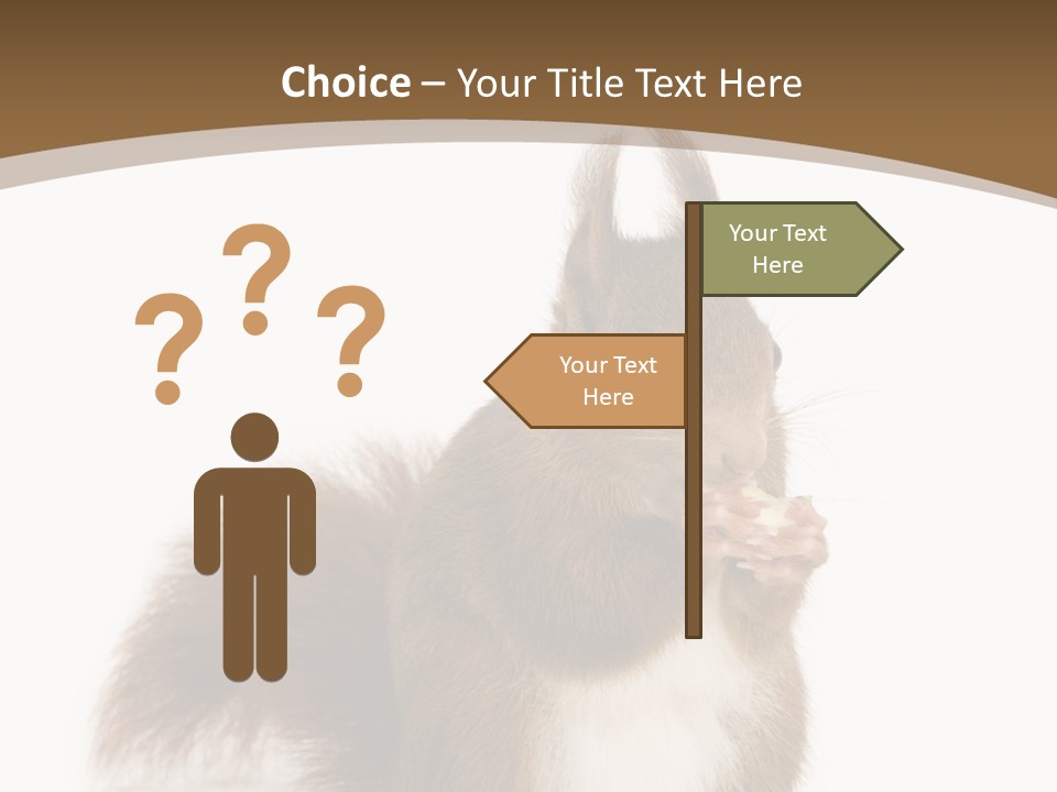 Isolated Brown Eurasian Red Squirrel PowerPoint Template