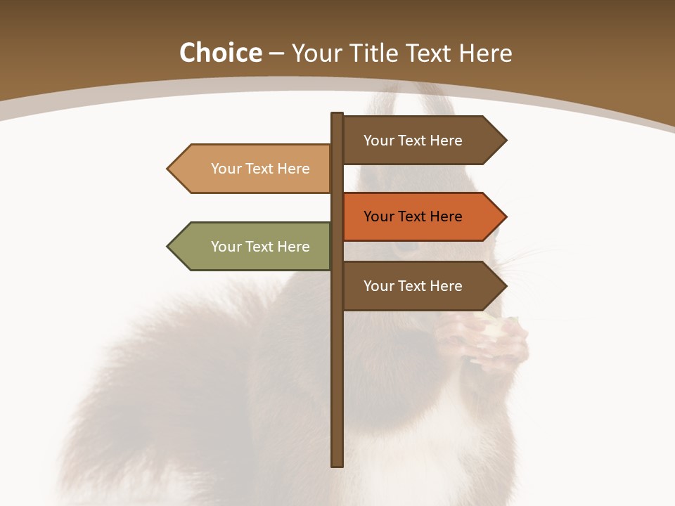 Isolated Brown Eurasian Red Squirrel PowerPoint Template