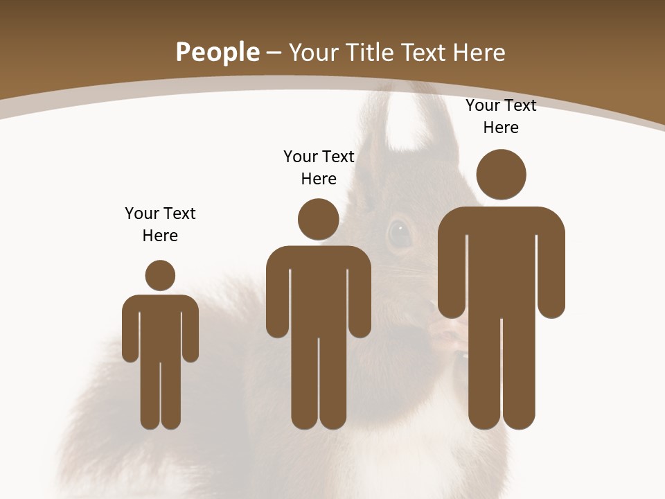 Isolated Brown Eurasian Red Squirrel PowerPoint Template