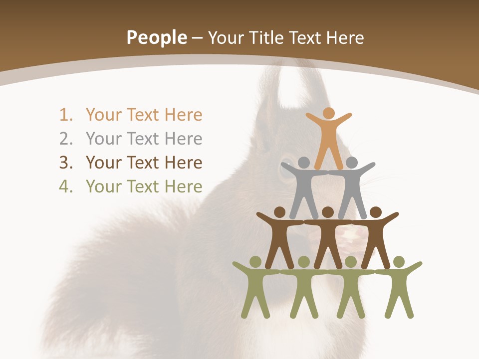 Isolated Brown Eurasian Red Squirrel PowerPoint Template