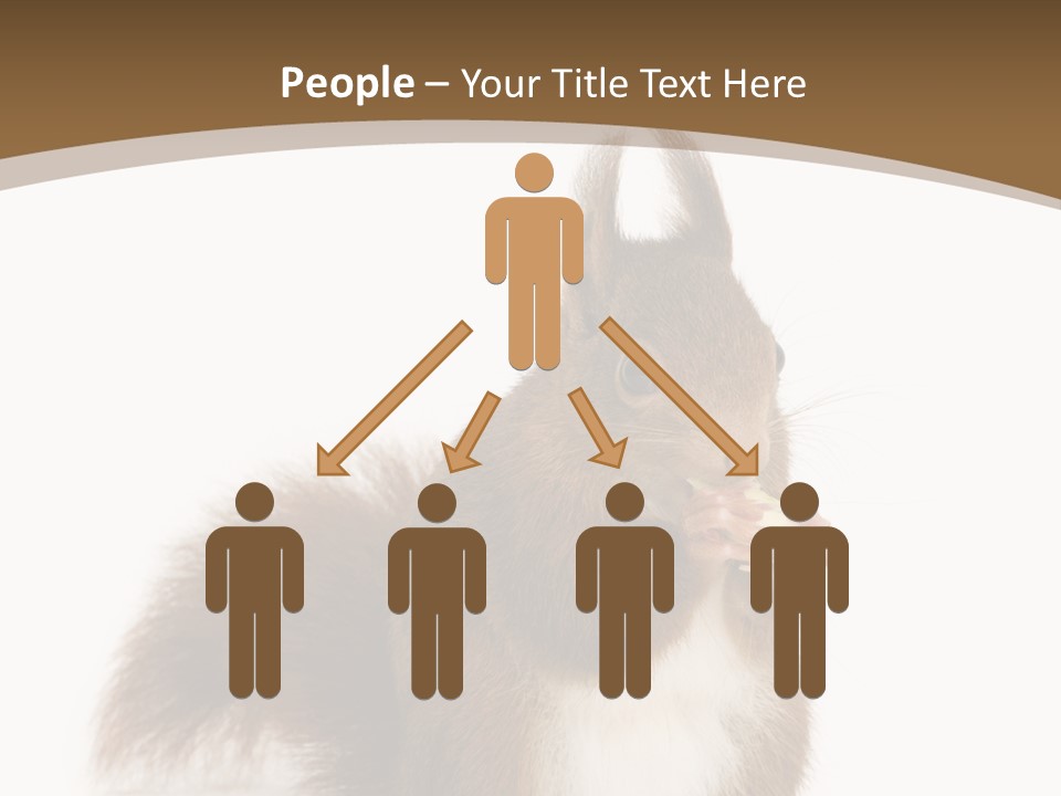 Isolated Brown Eurasian Red Squirrel PowerPoint Template